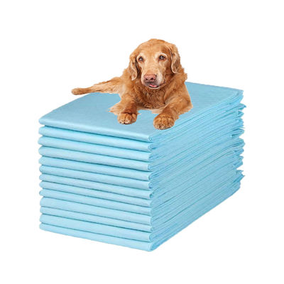 Ampolas descartáveis de urina para animais de estimação com capacidade de absorção de 100-2000 ml de limpeza rápida e fácil