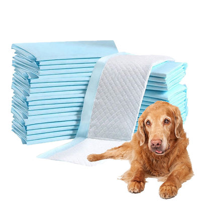 Acessórios de urina absorventes para filhotes de cachorro de estimação