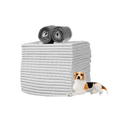 Produtos de Treinamento para Cães e Gatos