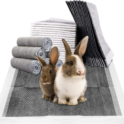 Produtos de Treinamento para Cães e Gatos