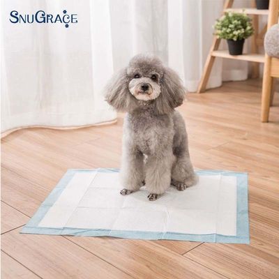 Alta absorção 900X600 almofadas descartáveis de mijo de cão armazenadas para treinamento de filhotes 600X350
