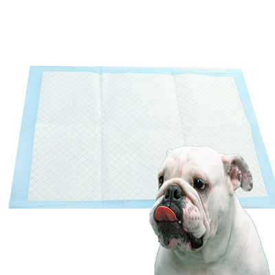 Treinamento de animais de estimação almofadas descartáveis de animais de estimação para cães em preto branco azul e verde