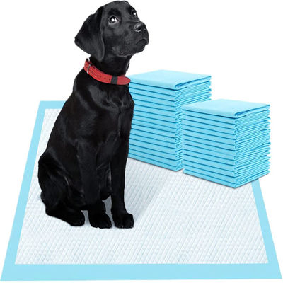 Capacidade de absorção 100-2000 ml Pés de animais de estimação descartáveis Pés debaixo de almofadas com certificação CE
