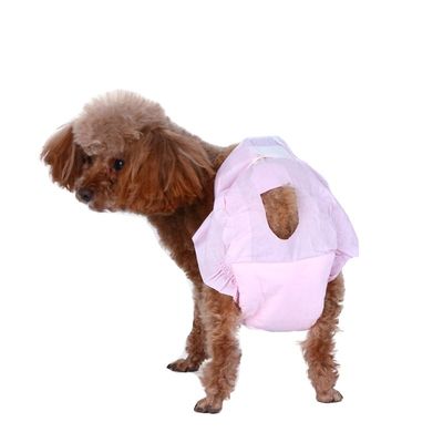 Pênis descartável para animais de estimação sem vazamento e material de algodão sustentável para casa