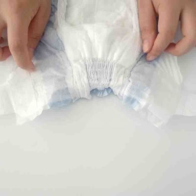 Pênulas femininas para cães com indicador de umidade do canal 3D de prevenção de fugas incluído