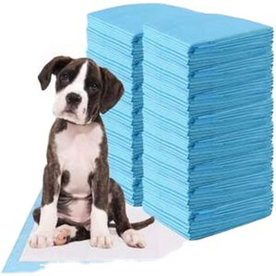 Incontinência descartável L XL Piss Pad Pad de Treinamento Pad para Cachorros de Pet Piss Pad de Treinamento