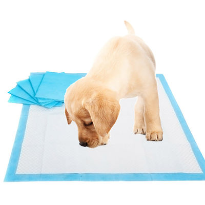 Incontinência descartável L XL Piss Pad Pad de Treinamento Pad para Cachorros de Pet Piss Pad de Treinamento
