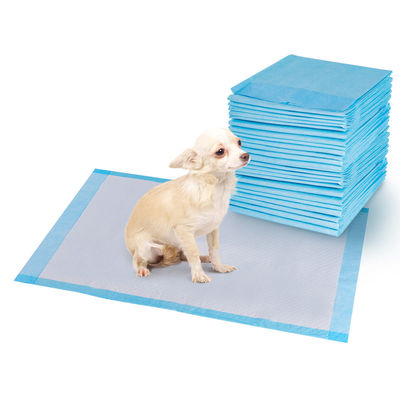 Fluff Pulp Custom Absorção Desodorizada Disponível de Treinamento Cachorro Pet Pee Pads para Cachorro Pet Cat