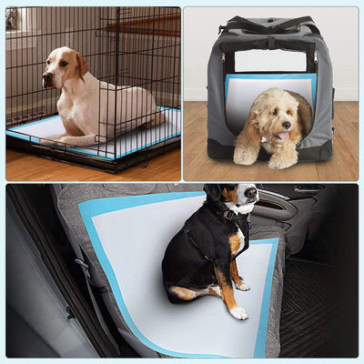 Extra grande absorvente de cães de treinamento de urina almofadas 60x90 60x60 60x45 com suave Nowoven Frabic