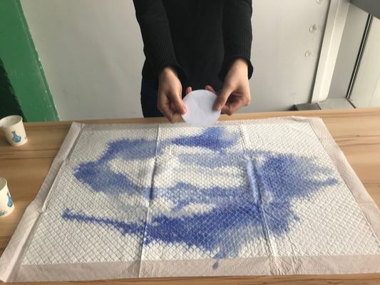 Hospital Médico Disponível Enfermagem Subpad Ficha de Dignidade para doentes acamados